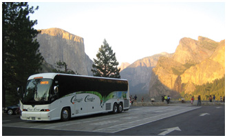Chartered Bus Services